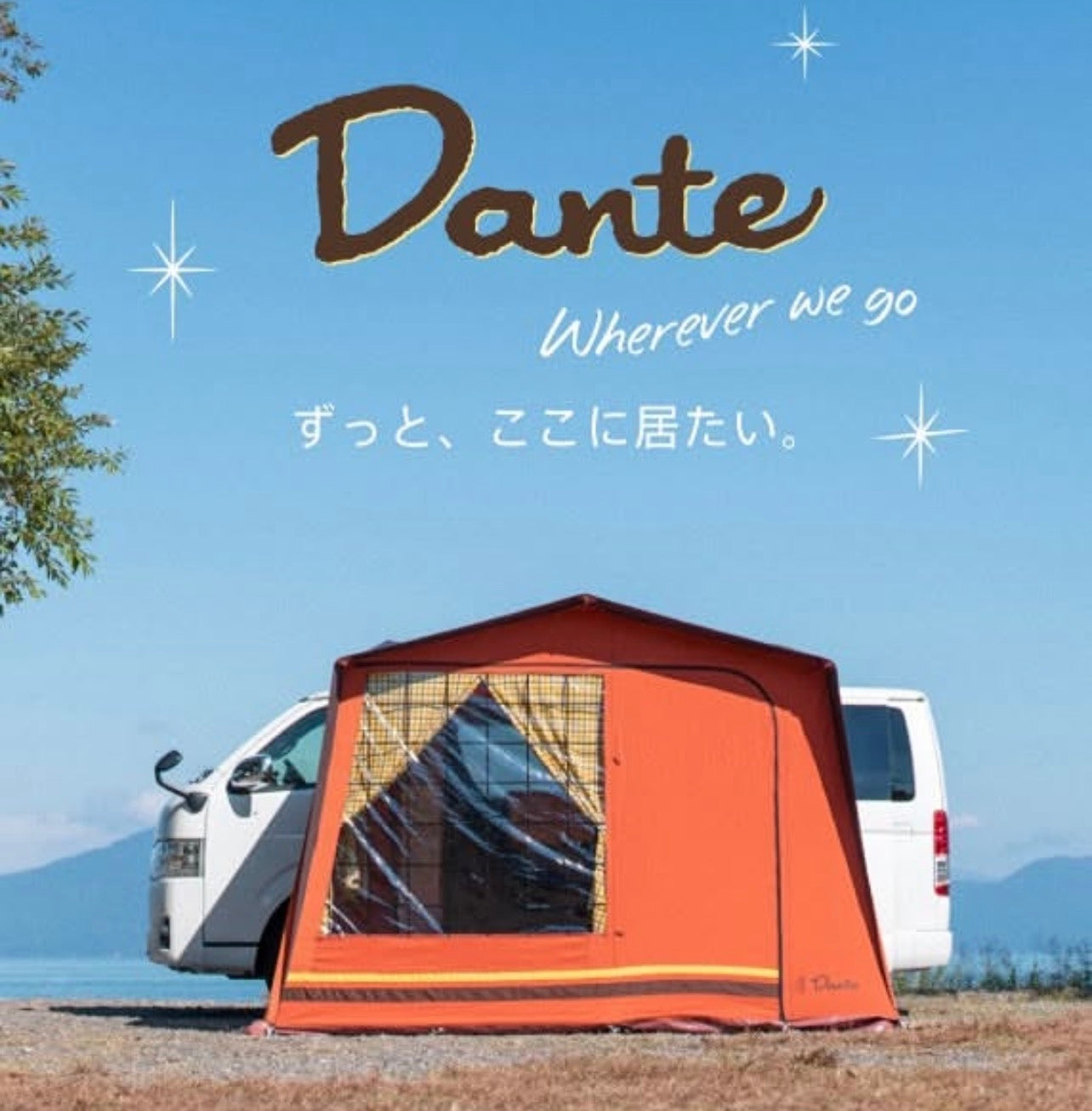 Dante 抽選販売
